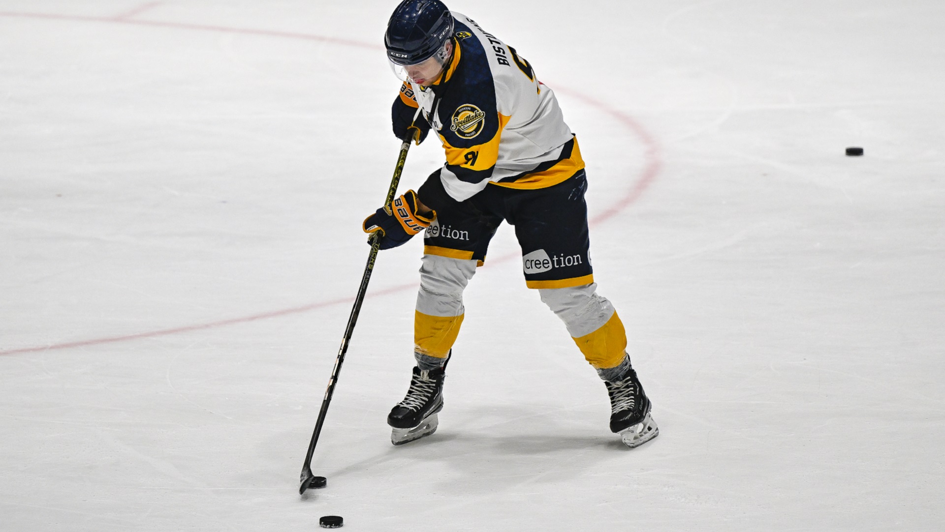 Dominykas Bisturys Zoetermeer Panters IJshockey