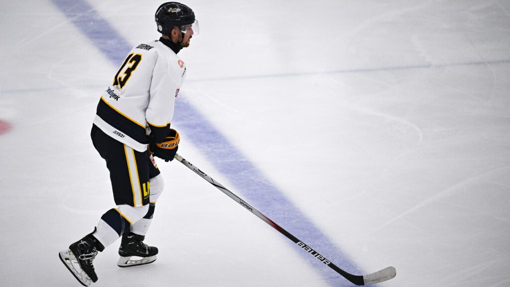 Zoetermeer Panters Eredivisie IJshockey