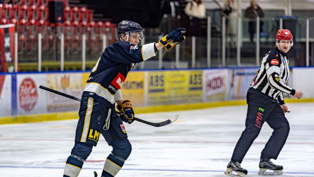 Zoetermeer Panters Eredivisie IJshockey Amsterdam Tigers